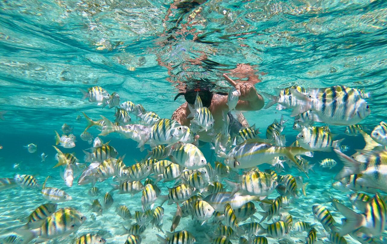 excursion-snorkel-isla-catalina-7-viajes-de-fiesta