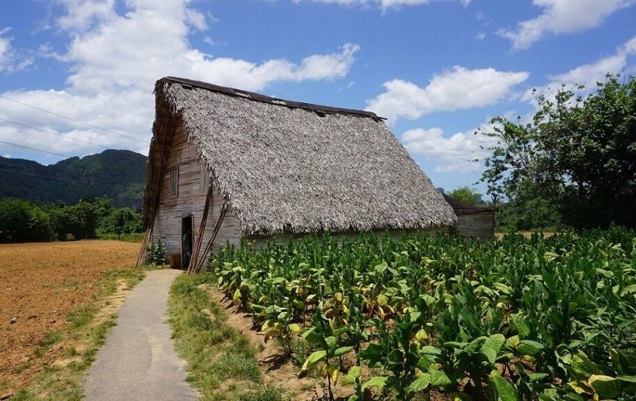 excursion-dia-completo-viñales-5-viajes-de-fiesta