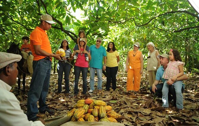 excursion-safari-rancho-cacao-cafe-2-viajes-de-fiesta