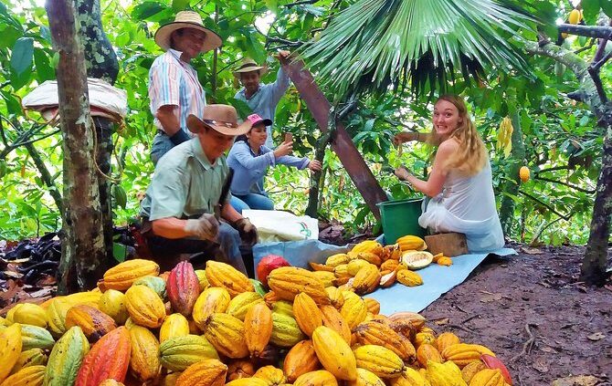 excursion-safari-rancho-cacao-cafe-3-viajes-de-fiesta