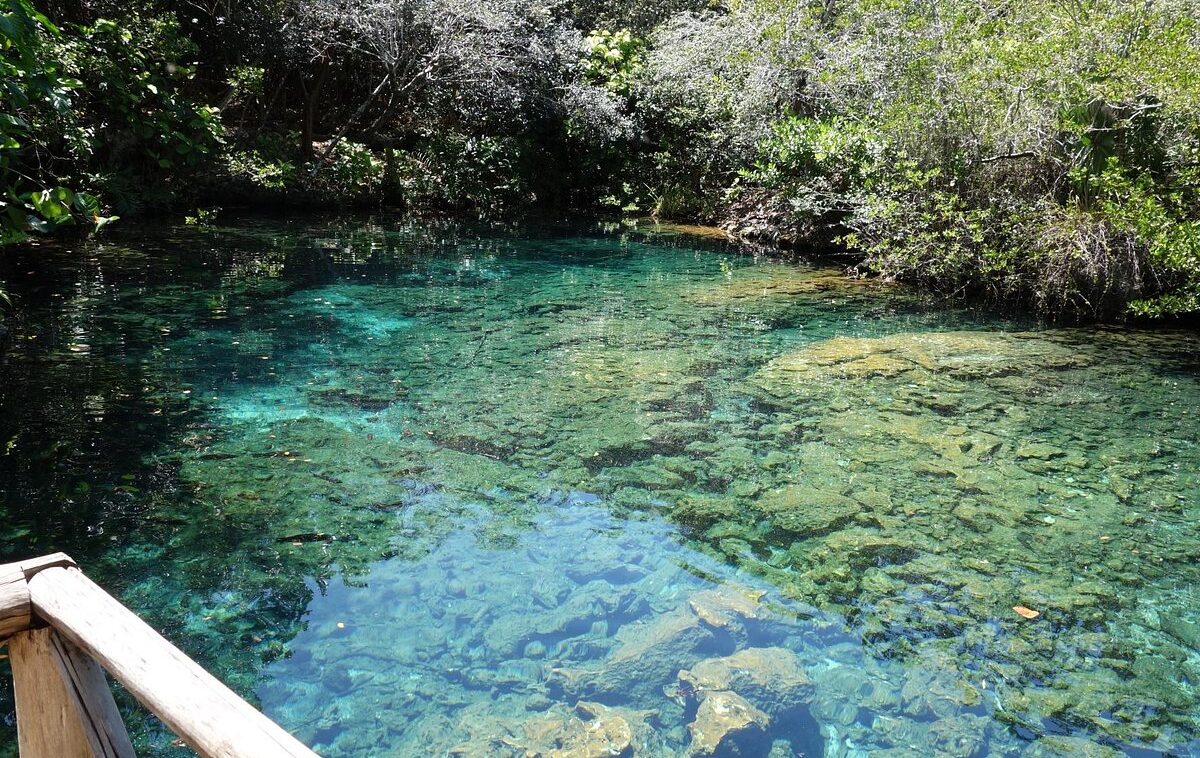 excursión-wild-on-caribbean-sea-baño-cenote-reserva-ecológica-1-viajes-de-fiesta