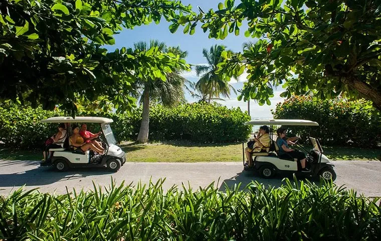 excursión-wild-on-punta-cana-carrito-golf-2-viajes-de-fiesta