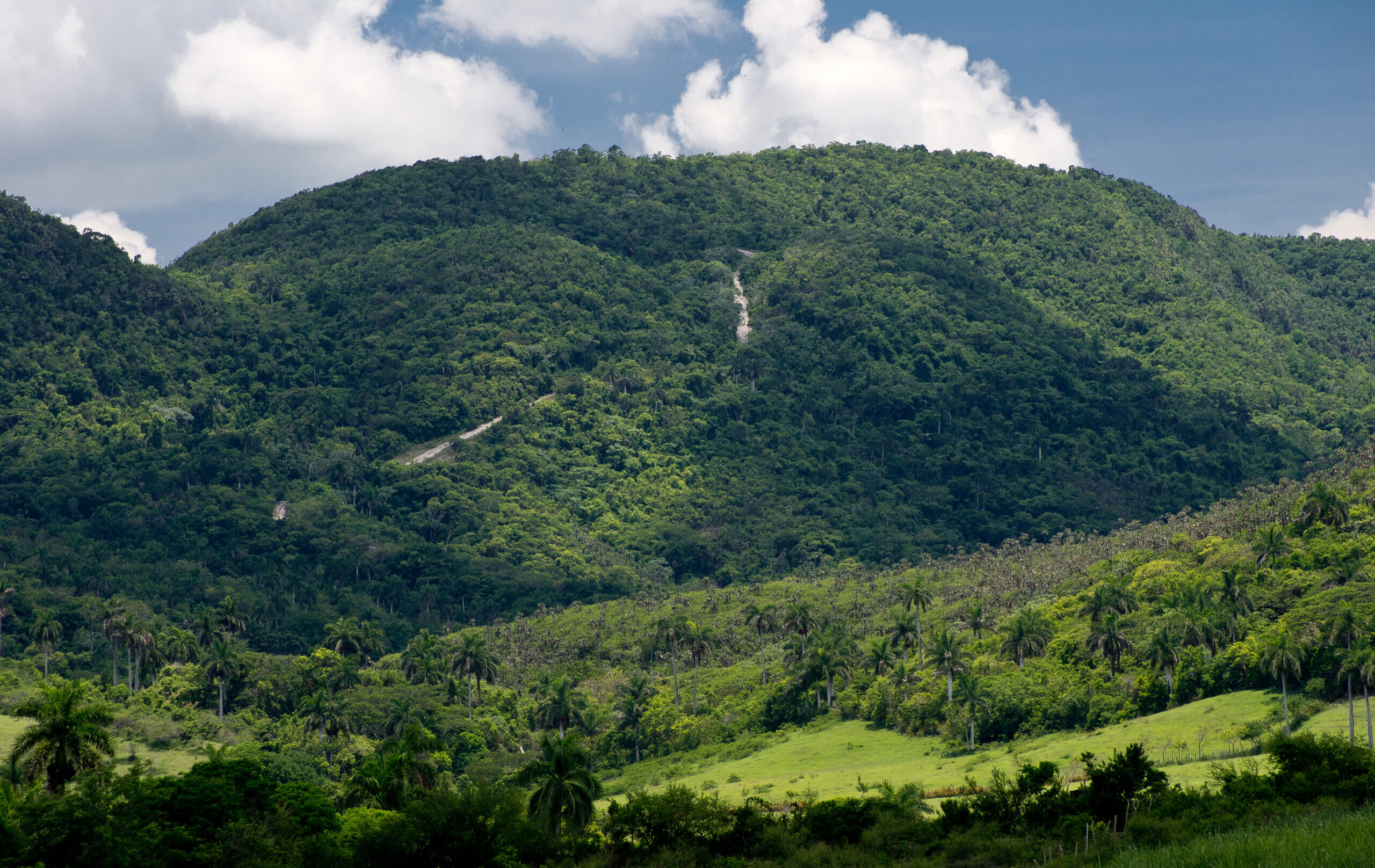 Yumuri Valley