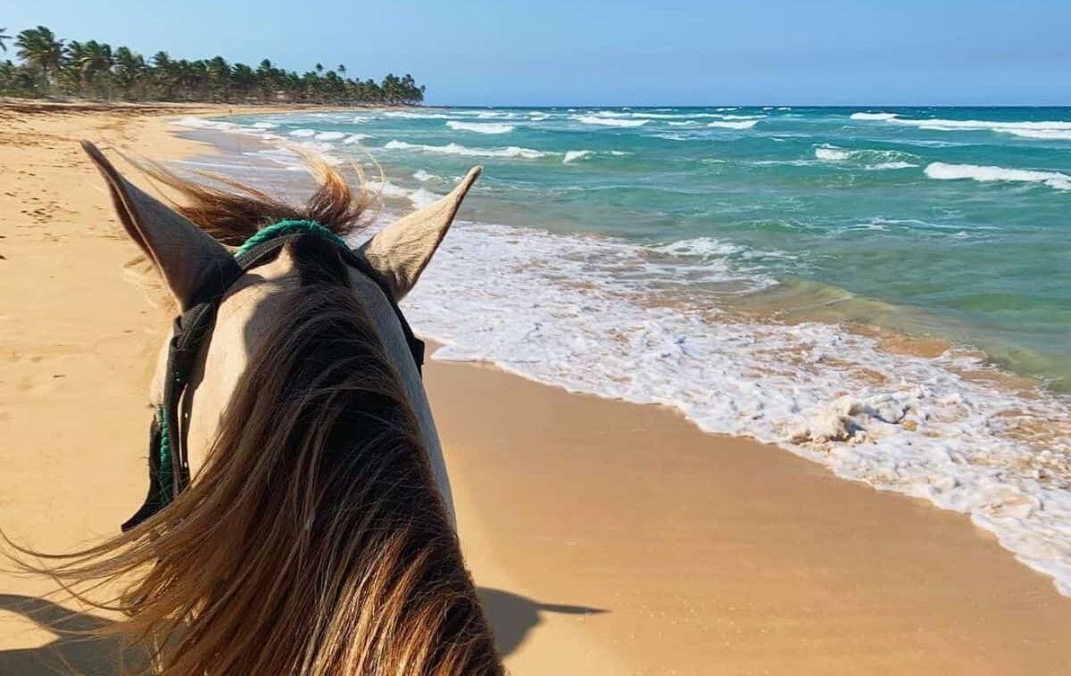 paseo-caballo-playa-1-viajes-de-fiesta