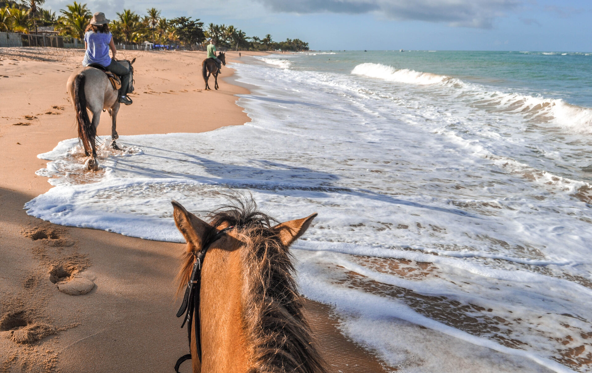 Horseback riding on the beaches in Bahia in Brazil. The beaches there are wild and isolated.