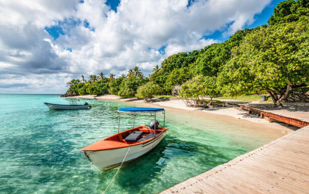 Vibrant image with two boats moored at the wooden  pier of the small islet of Cayo Levantado. Samana Bay, Dominican Republic. Green trees, coconut palm trees and white sandy beach along the coastline. Turquoise colored water.