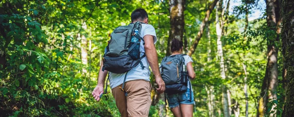 Viajes Ecológicos: Cómo Disfrutar Del Turismo Sin Dejar Huella En El Planeta