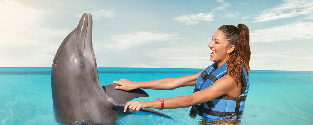 Dolphin Island Park 2025 Nado Exclusivo con Delfines