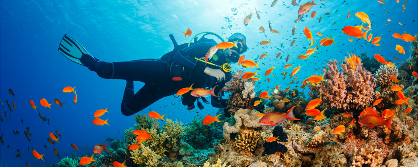 Packs de Buceo en Bávaro 2025